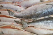 горбуша коробка